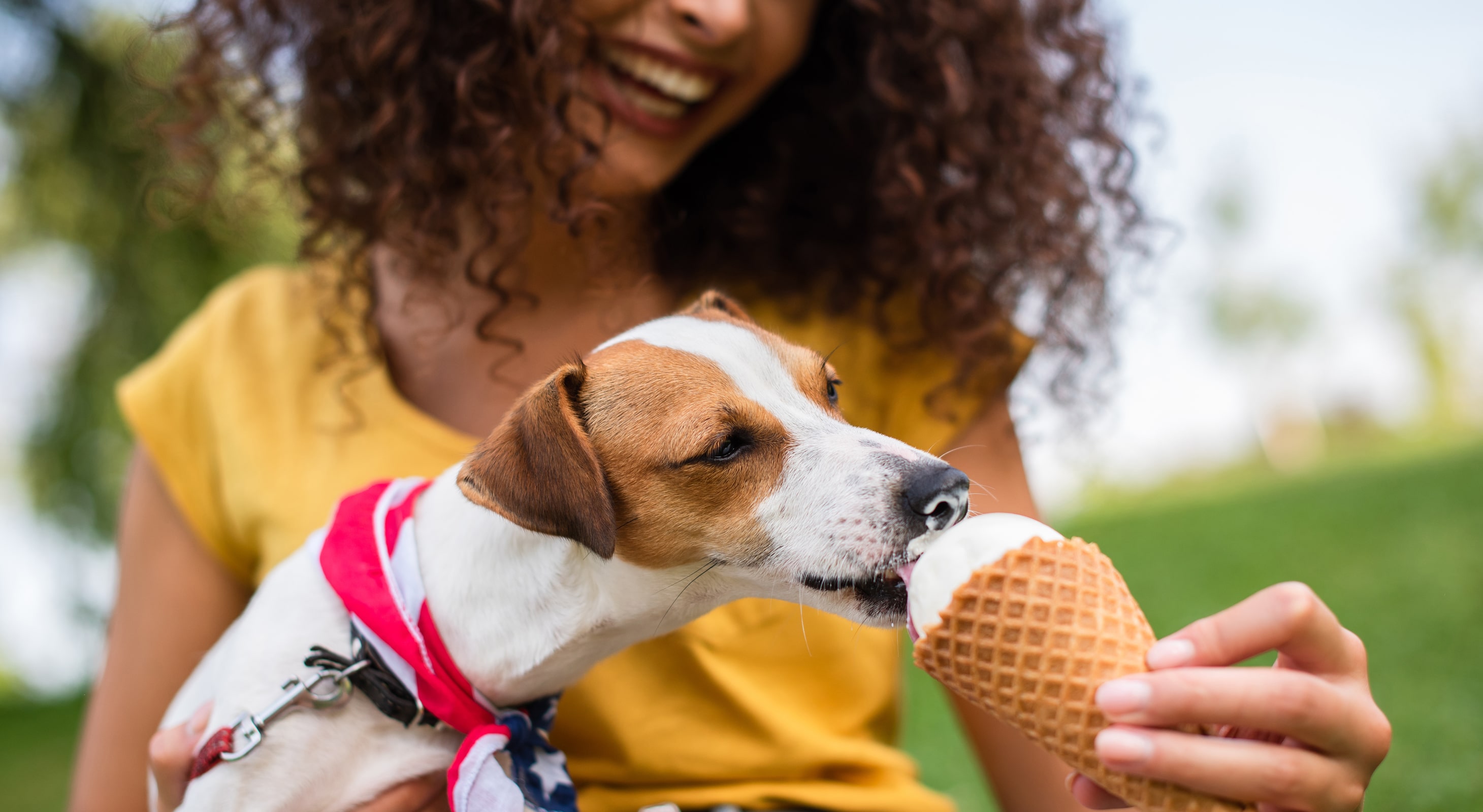 Woman feeding ice cream to dog