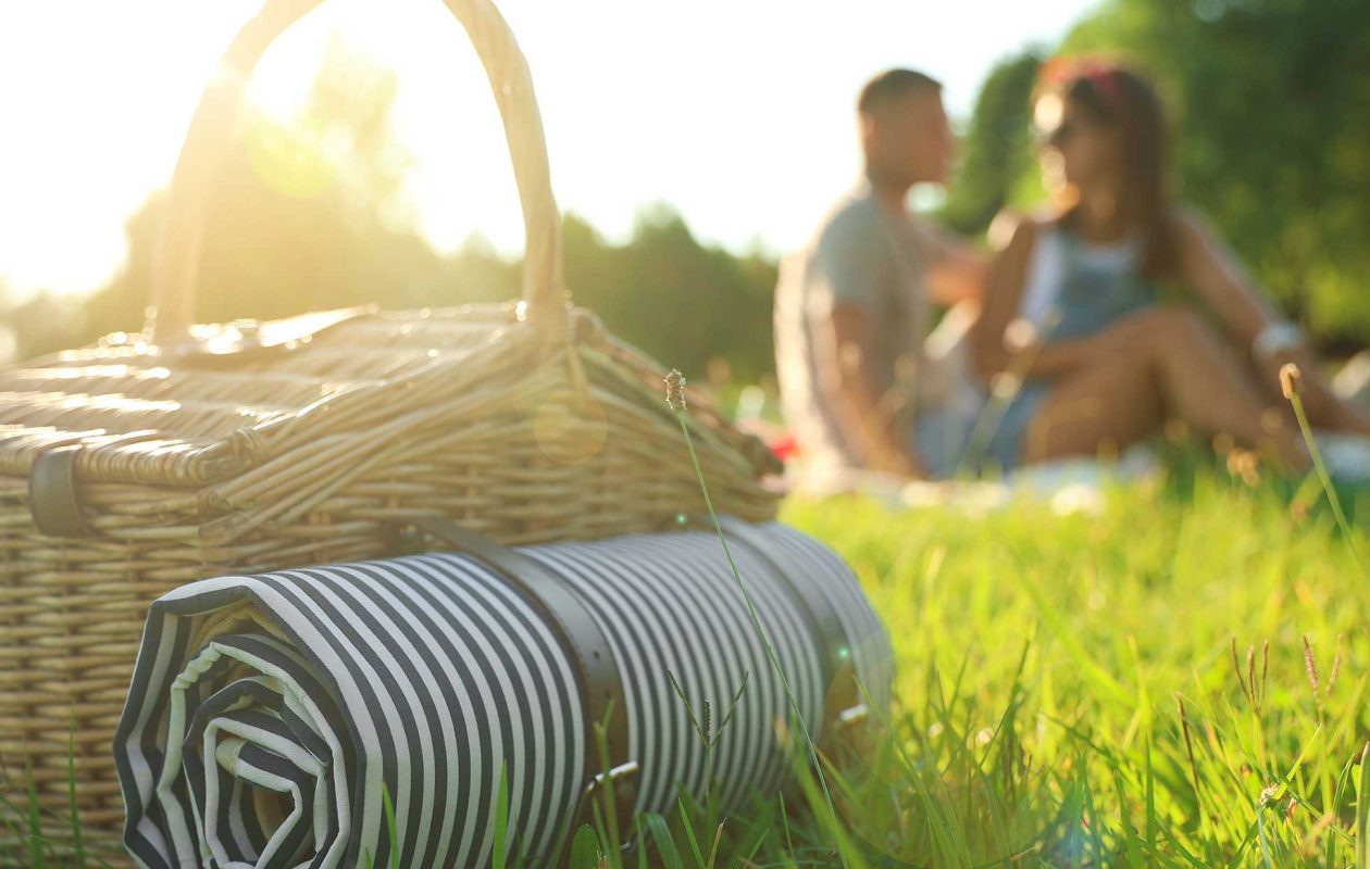 Couple having a romantic picnic in the grass