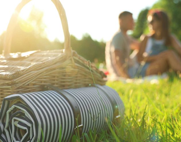 Couple having a romantic picnic in the grass