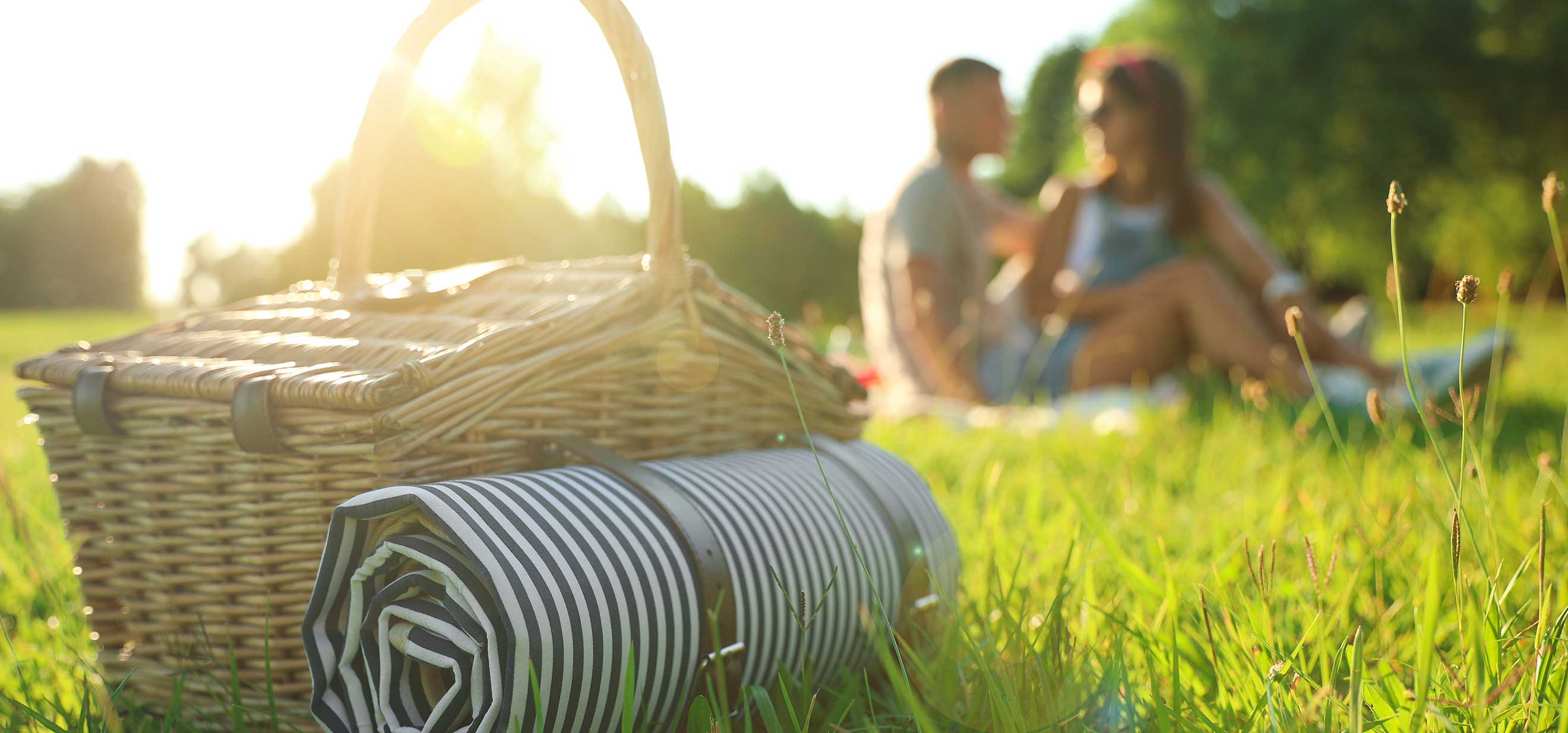 Couple having a romantic picnic in the grass