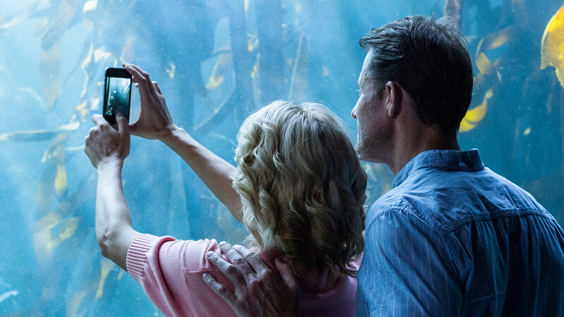 couple taking pics of fish at an aquarium