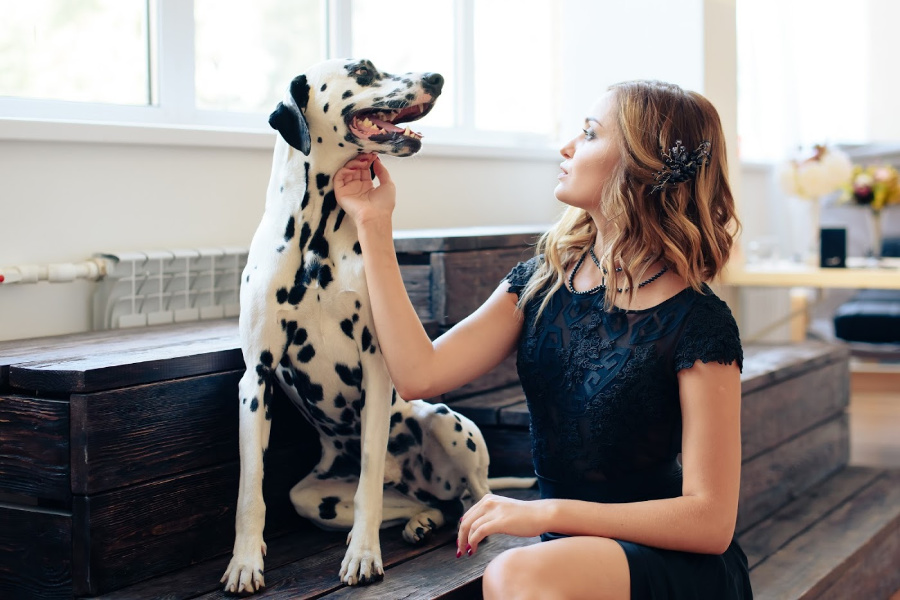 Woman petting her dalmatian