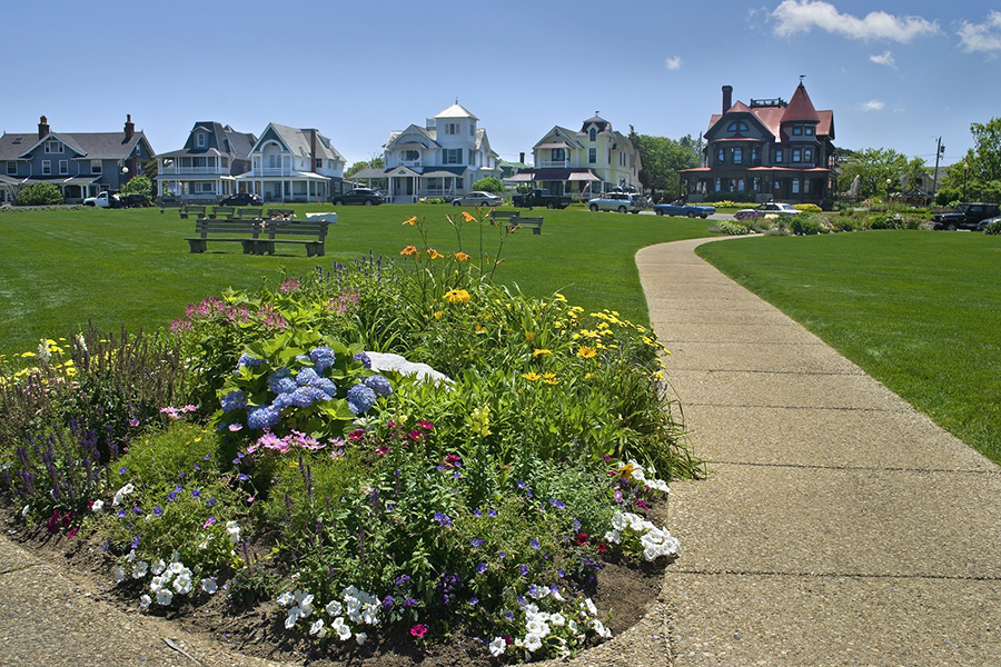 Martha's vineyeard park with houses