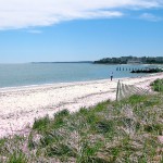 Bristol Beach, Falmouth, Cape Cod.