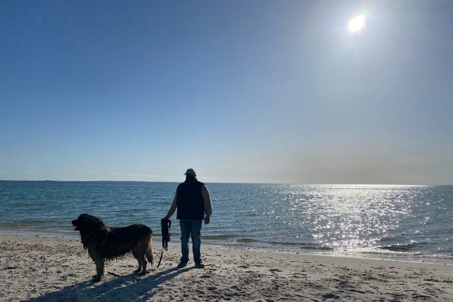 Brody, the inn dog, going for a walk on a beach