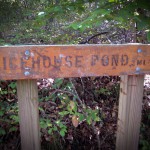 Cape Cod Activities: Beebe Woods Hiking Trail Sign