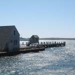 Harbor at Woods Hole, Cape Cod