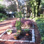 Cape Cod herb garden
