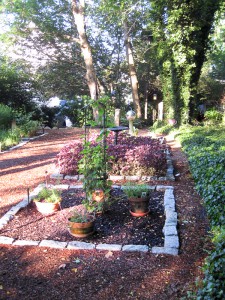 Cape Cop B&B herb garden