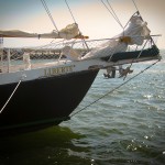 Cape Cod Sailing Liberte's Bow