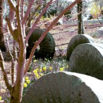 Old Mill Stones at Sphor Gardens