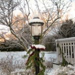 Lamp in snow.