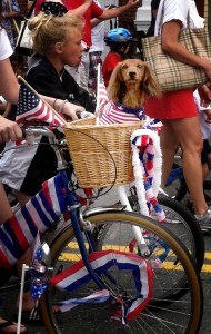 Falmouth's 2011 4th of July parade dog, Cape Cod