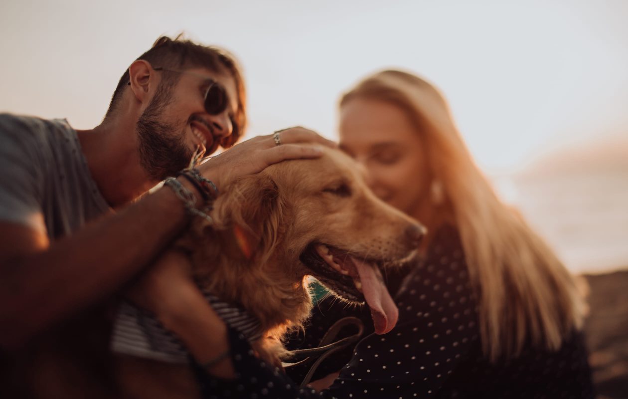 Couple and dog at pet friendly beach on Cape Cod