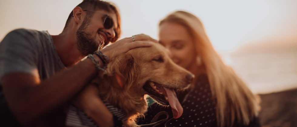 Couple and dog at pet friendly beach on Cape Cod