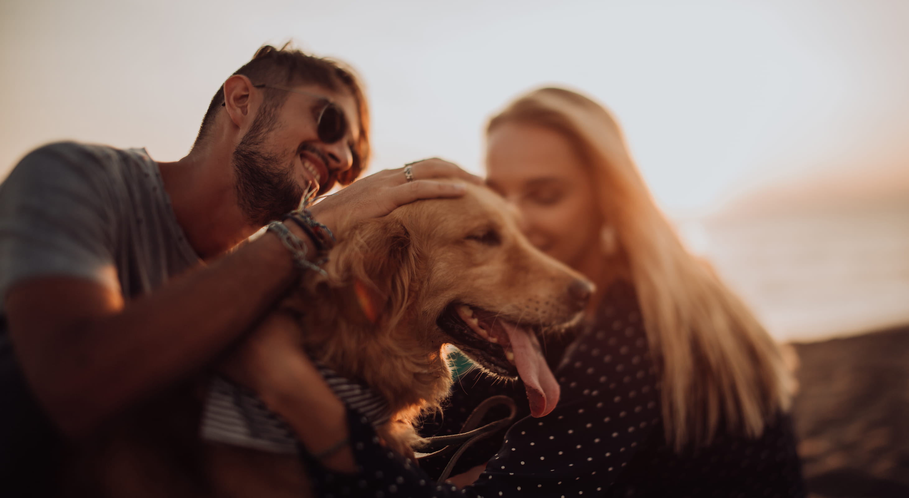 Couple and dog at pet friendly beach on Cape Cod