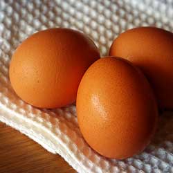 Brown Eggs