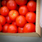 Fresh organic tomatoes