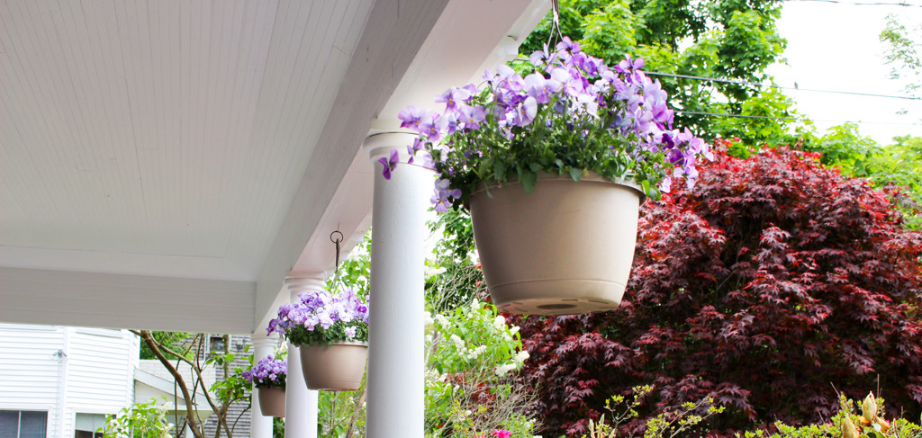 Falmouth Village Blooming: hanging planters on the porch at the Palmer House