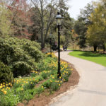 Heritage Museum and Gardens path