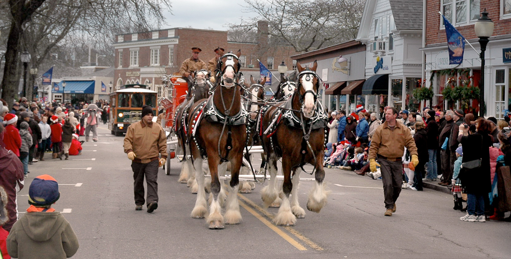 Holidays on Cape Cod: Horses in the Parade