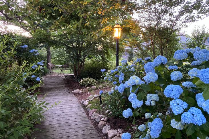 Summer Gardens at Our Cape Cod B&B