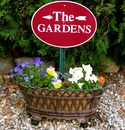 Cape Cod Bed & Breakfast Pansies in the Garden