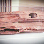 Canon Ball in Tree Trunk