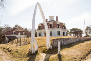 Whale Bone Gate