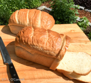 Portuguese Sweet Bread Recipe at the Palmer House Inn in Falmouth, Cape Cod, Massachusetts, USA.