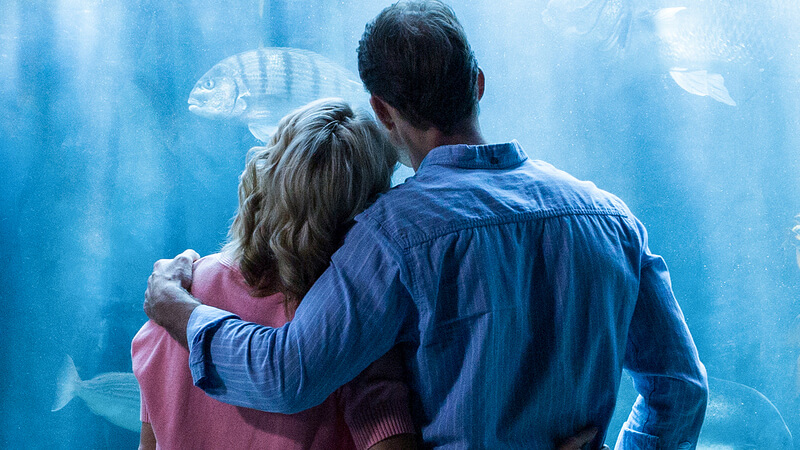 Couple at an aquarium embracing