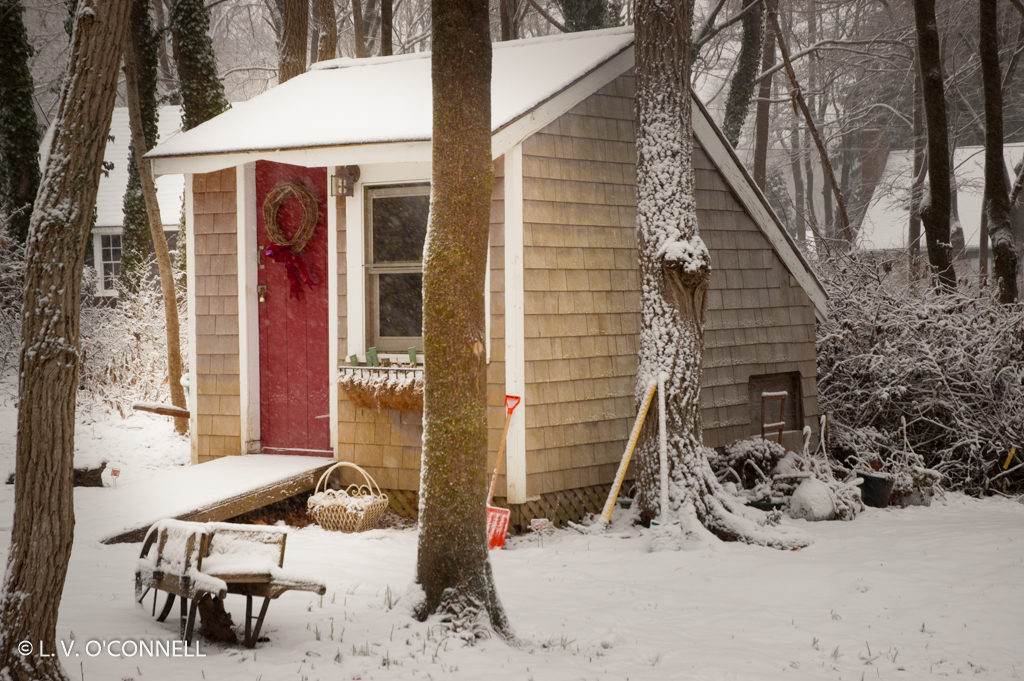 She Shed in snow