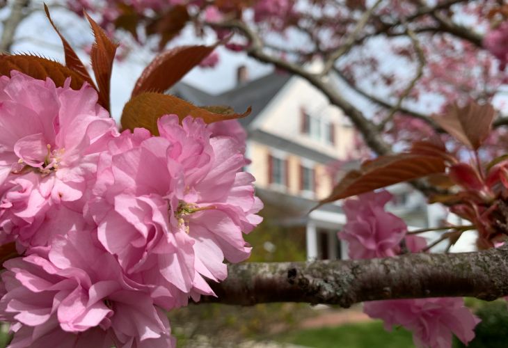 Spring at Palmer House Inn