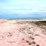 Surf Drive Beach, Falmouth, Cape Cod