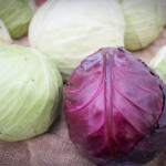 Red Cabbage at Mahoney's Winter Market