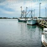 Woods Hole Fishing Derby