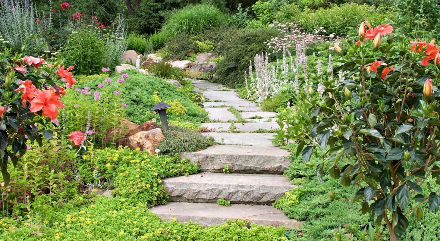 a stone path wandering through a garden