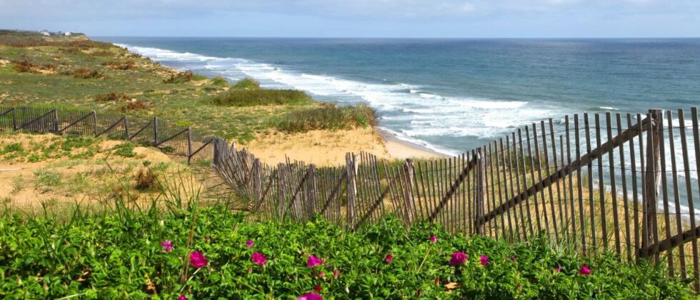 Cape Cod coastline with sandy dunes, ocean waves, and wooden fence overlooking the beach